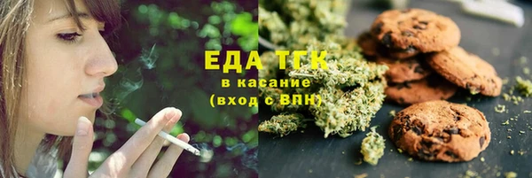 хмурый Алексин