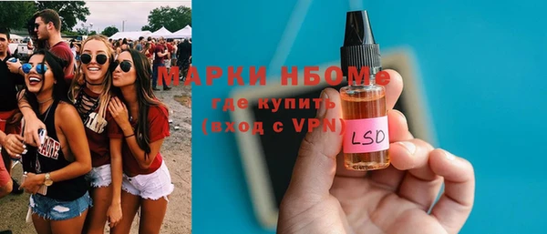 хмурый Алексин