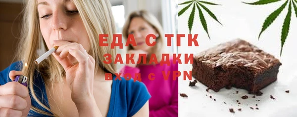 хмурый Алексин