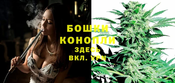 дурь Алексеевка