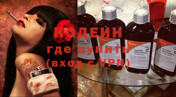 хмурый Алексин