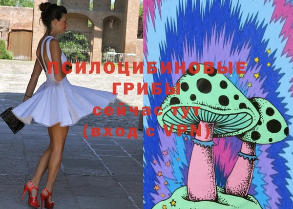 хмурый Алексин