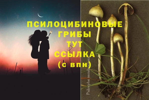 дурь Алексеевка