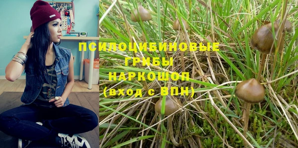 дурь Алексеевка